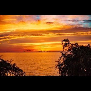 Meet your Posher, Amelia